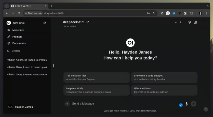 DeepSeek Screenshot 1