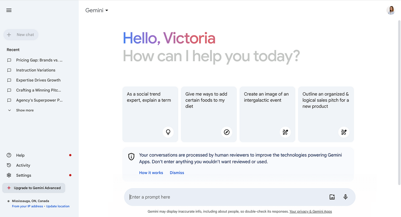 Google Gemini Screenshot 1